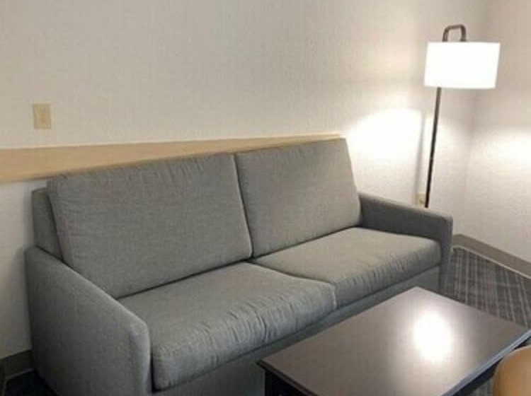 장애인을 위한 스위트, Comfort Suites Salemroanoke I81