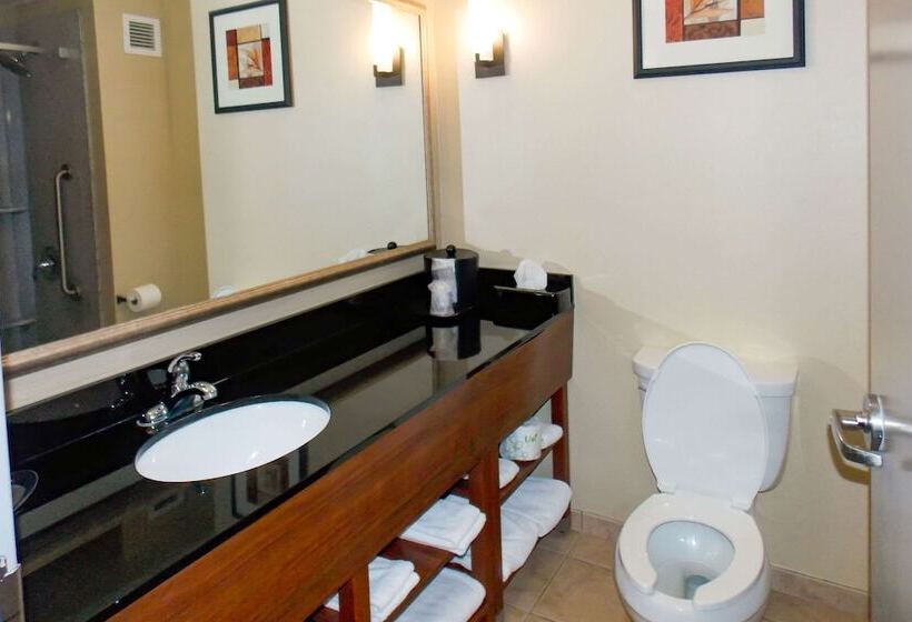 장애인을 위한 스위트, Comfort Suites Salemroanoke I81