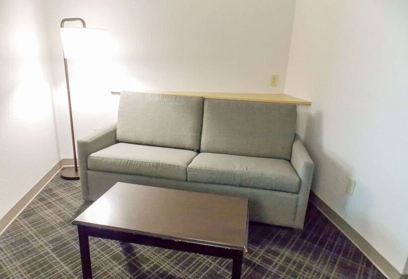 장애인을 위한 스위트, Comfort Suites Salemroanoke I81
