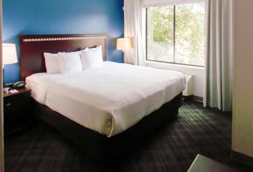 장애인을 위한 스위트, Comfort Suites Salemroanoke I81