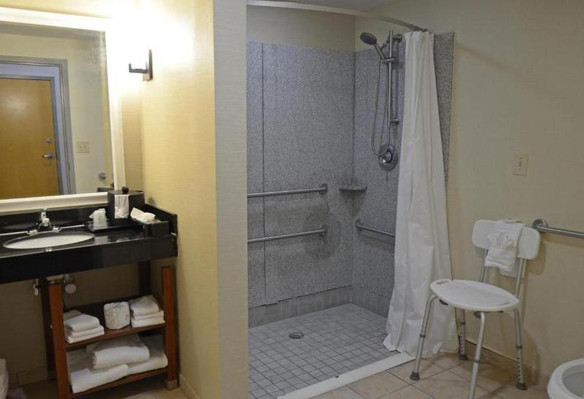 장애인을 위한 스위트, Comfort Suites Salemroanoke I81