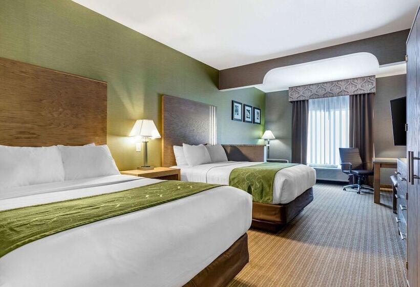 Люкс, Comfort Suites Southgate Detroit