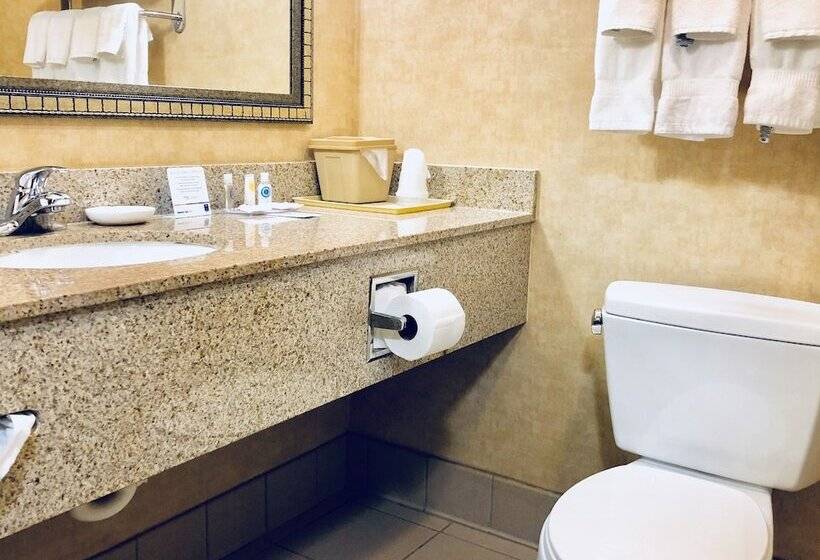 스위트, Comfort Inn & Suites Montgomery Eastchase