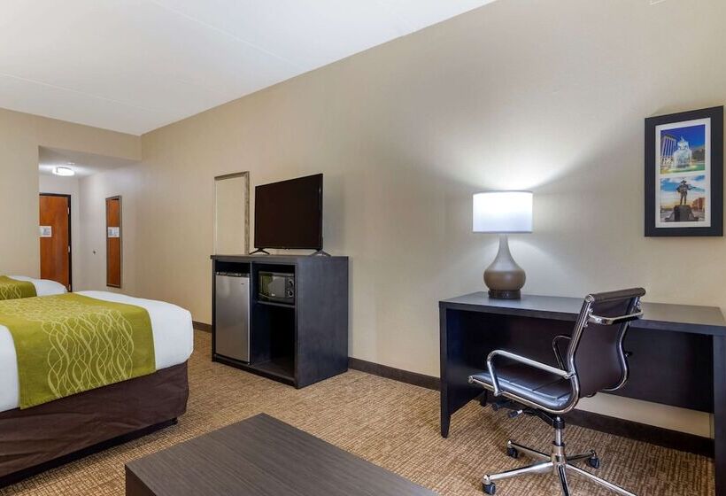 스위트, Comfort Inn & Suites Montgomery Eastchase