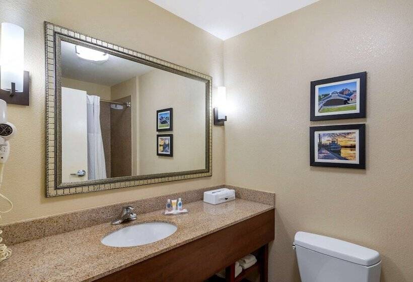 스위트, Comfort Inn & Suites Montgomery Eastchase