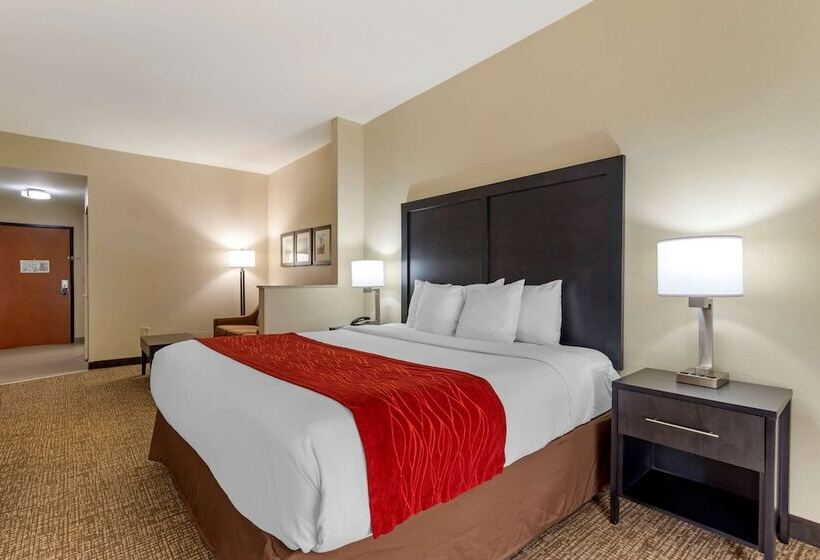 스위트, Comfort Inn & Suites Montgomery Eastchase