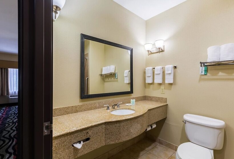 스위트, Comfort Suites Beaumont I10