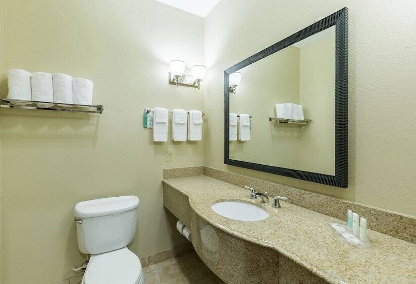 스위트, Comfort Suites Beaumont I10