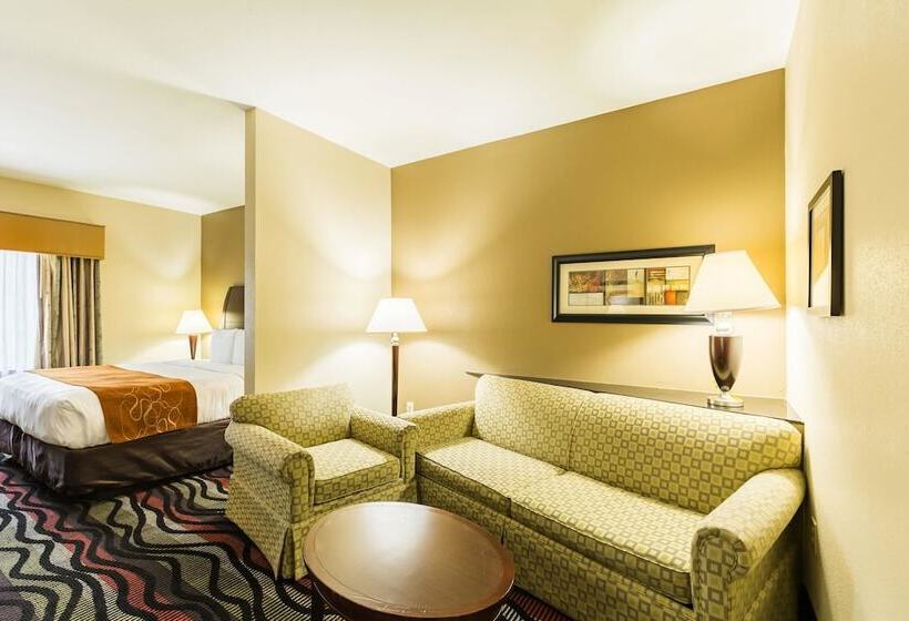 장애인을 위한 스위트, Comfort Suites Beaumont I10