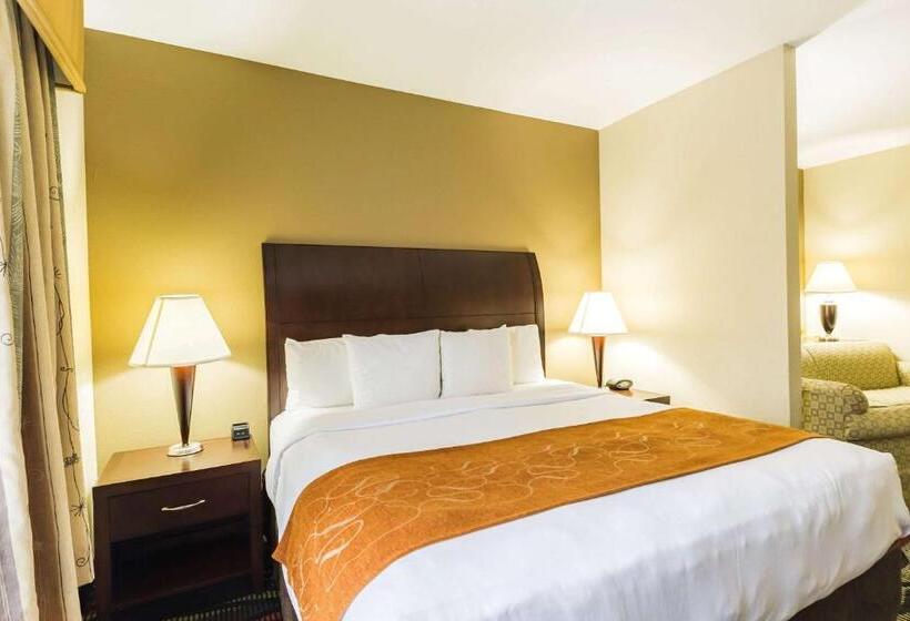 스위트 킹사이즈 침대, Comfort Suites Beaumont I10