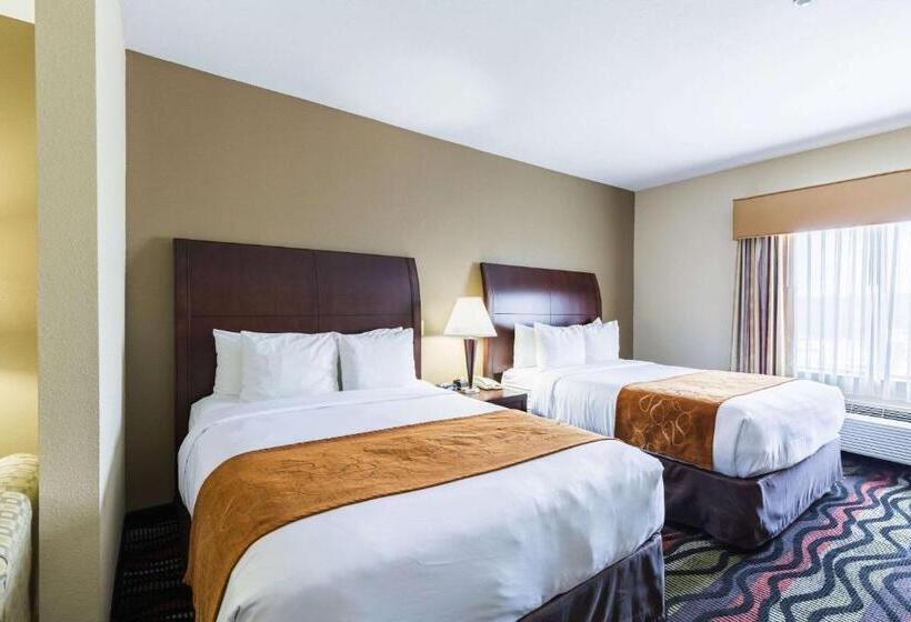 스위트, Comfort Suites Beaumont I10