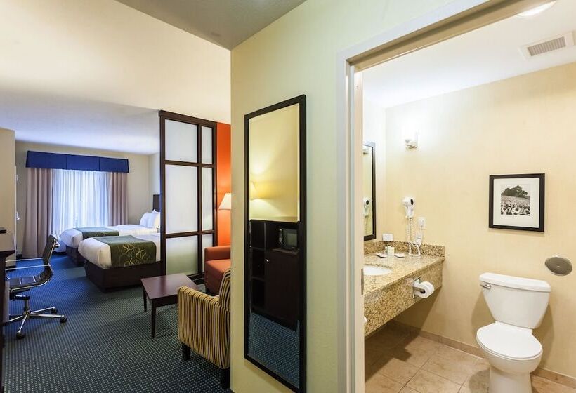 Люкс, Comfort Suites East Lincoln   Mall Area