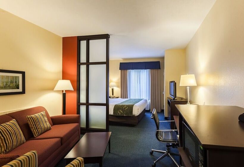 Люкс, Comfort Suites East Lincoln   Mall Area