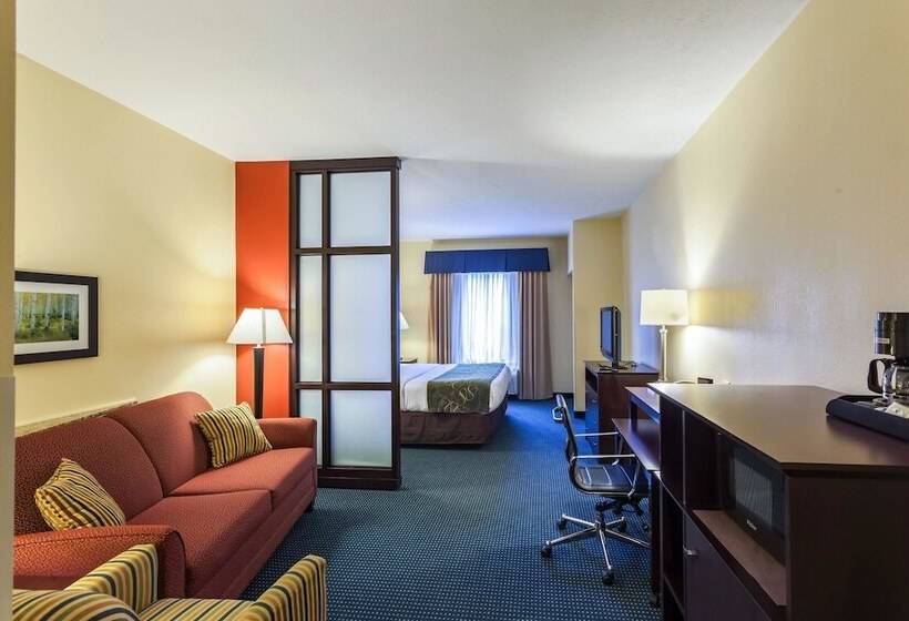 Люкс Адаптированный для Инвалидов, Comfort Suites East Lincoln   Mall Area
