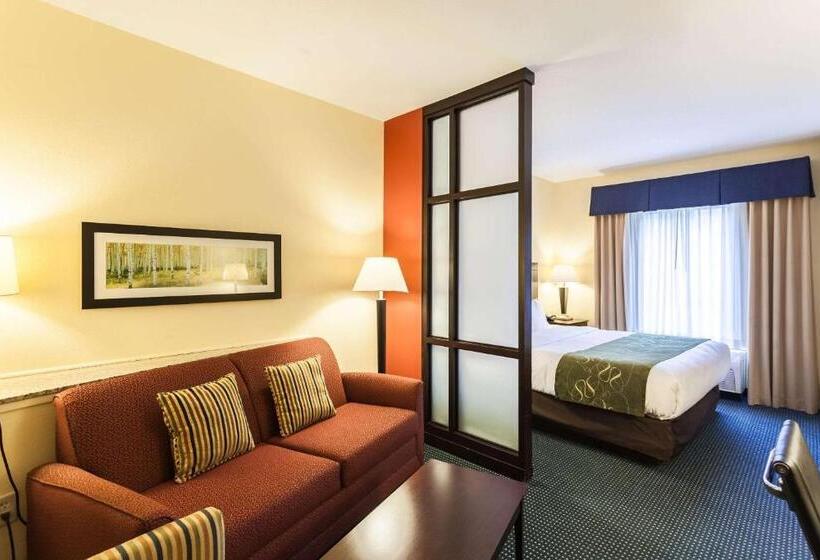 Люкс Адаптированный для Инвалидов, Comfort Suites East Lincoln   Mall Area
