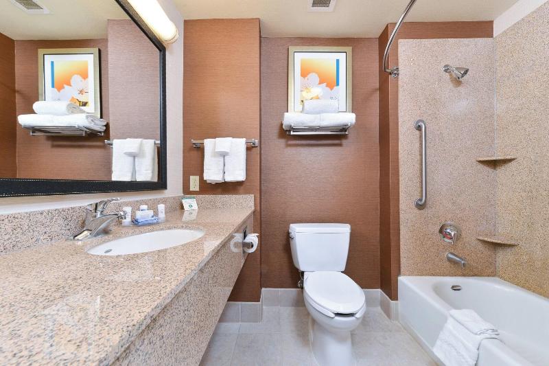 Люкс Executive Кровать Кинг, Fairfield Inn And Suites By Marriott Elk Grove