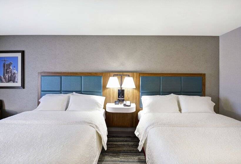 스탠다드 룸 더블 침대 2개, Hampton Inn & Suites Yuma