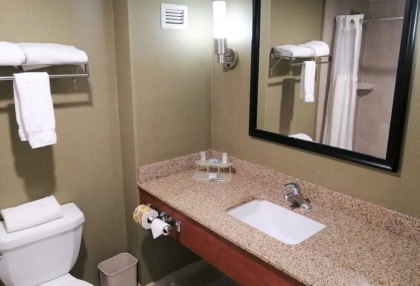 スタンダードルーム, Holiday Inn Express & Suites Toluca Zona Aeropuerto, An Ihg