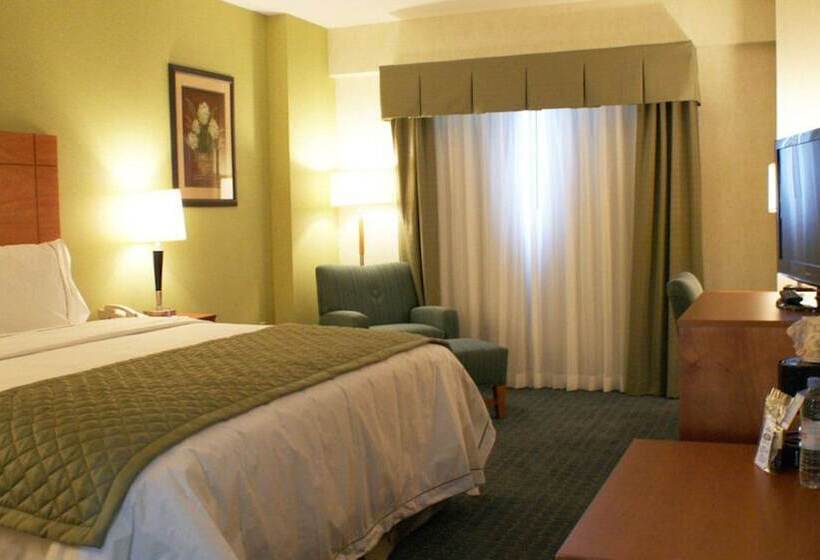 スタンダードルーム, Holiday Inn Express & Suites Toluca Zona Aeropuerto, An Ihg
