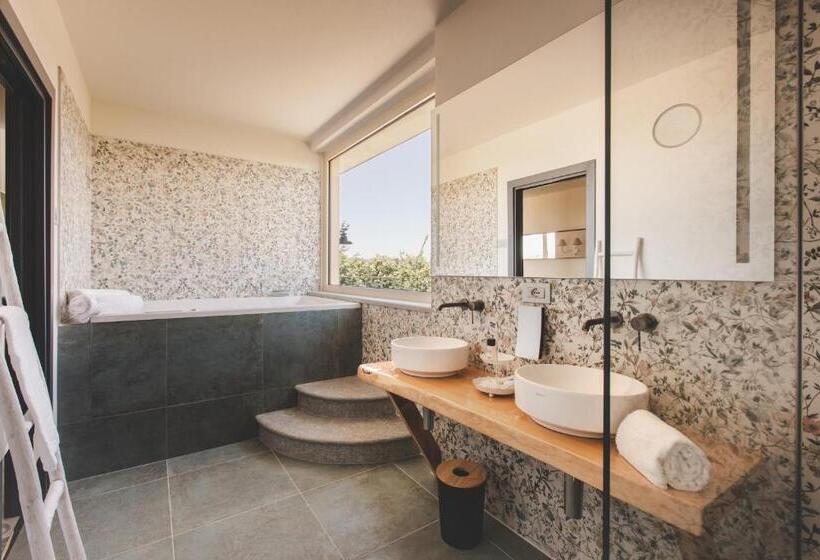 Полулюкс Одноместный с Террасой, Relais Almaranto