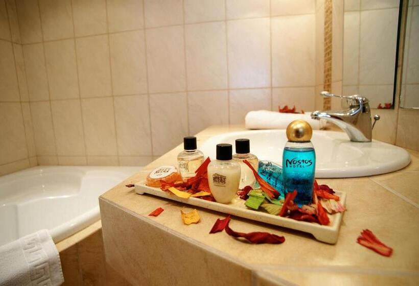 اتاق استاندارد با تخت بزرگ, Nostos