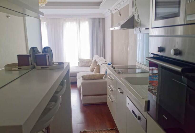 １ベッドルームのデラックスアパートメント, Ada Hotel Istanbul
