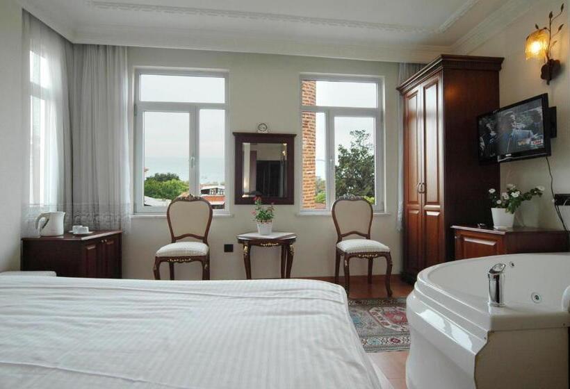 オーシャンビュースタンダードルーム, Ada Hotel Istanbul
