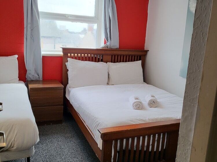 Quarto Triplo Estandar, Tulip