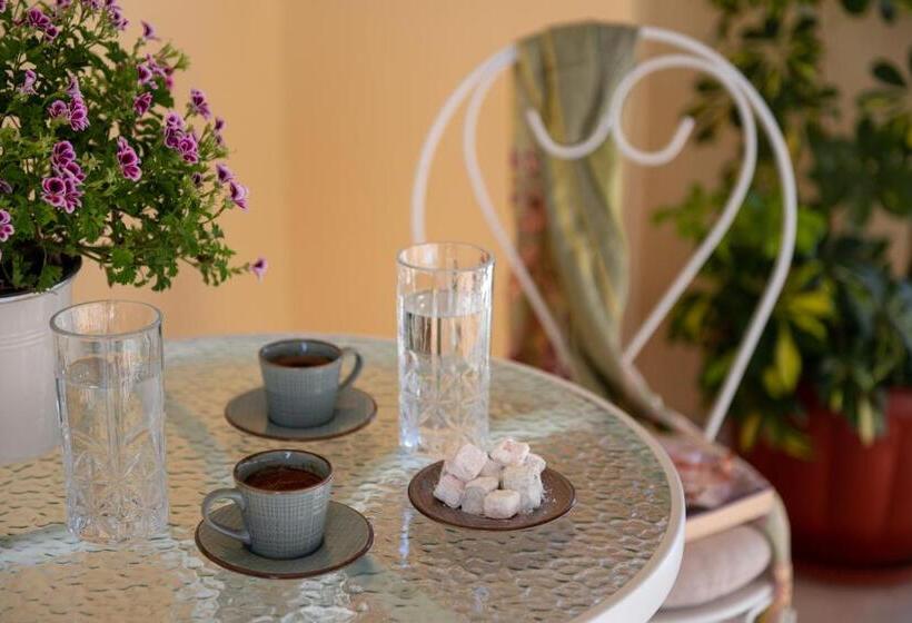 침실 1개 아파트, Nostalgia Corfu Town Apartments