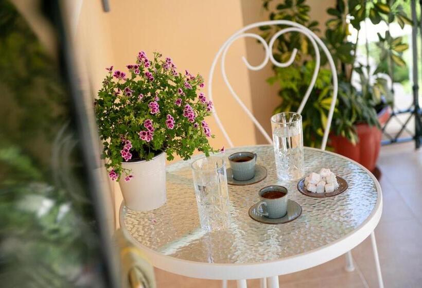 شقة غرفة واحدة, Nostalgia Corfu Town Apartments