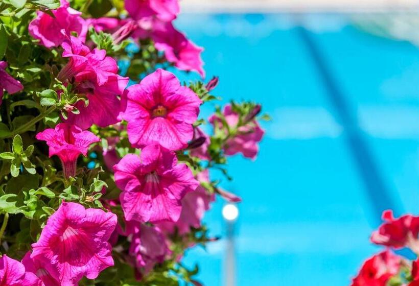 Студио Стандарт с Балконом, Ilios Beach Hotel Apartments Adults Only
