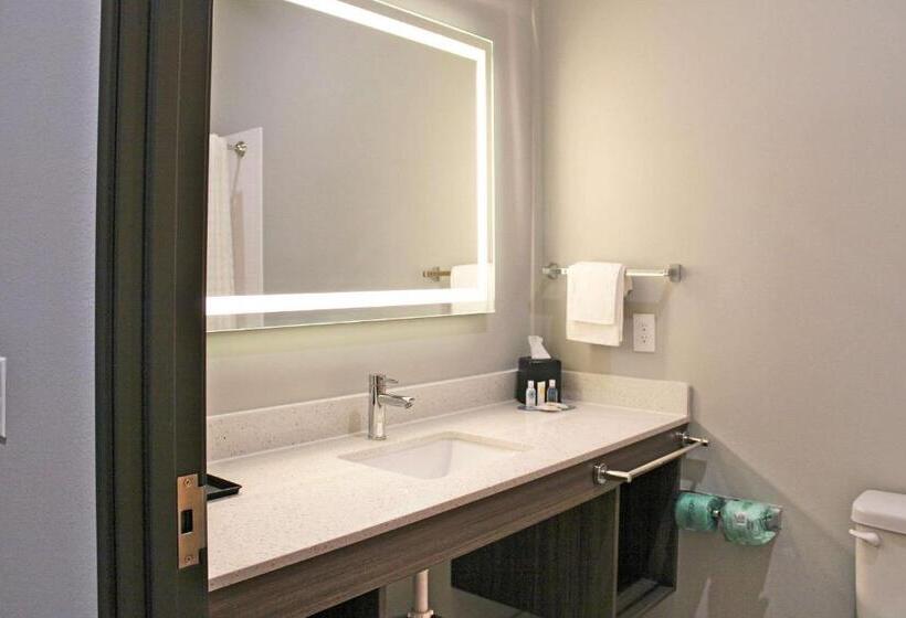 Camera Standard Accessibile ai Disabili, Comfort Inn Miramar Beachdestin