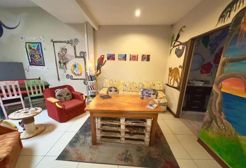 Номер Стандарт, Stray Cat Hostel