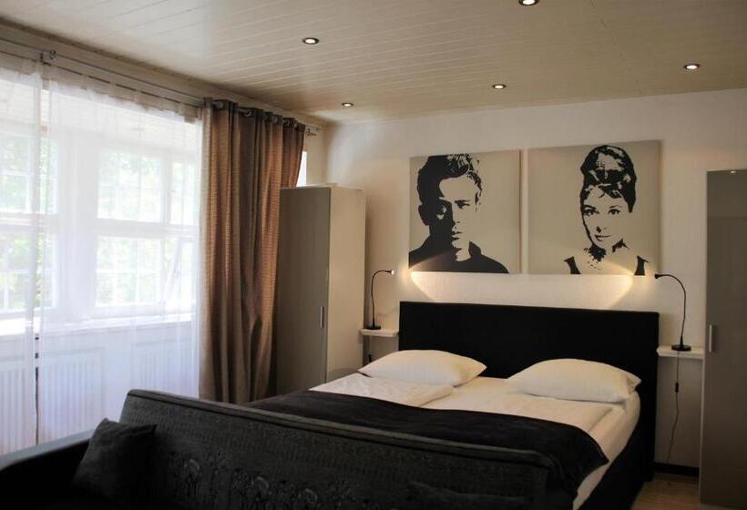 آپارتمان اقتصادی دو خوابه, Altstadthotel Hayk Am Rhein