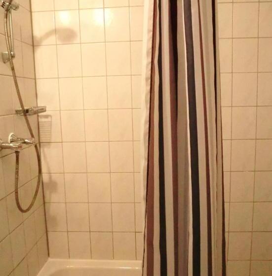 آپارتمان 3 خوابه, Altstadthotel Hayk Am Rhein