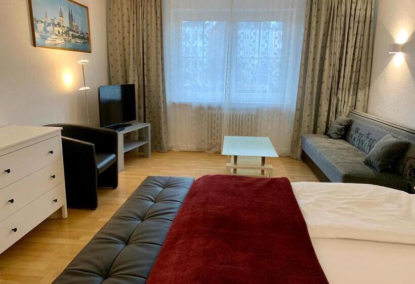 آپارتمان 3 خوابه, Altstadthotel Hayk Am Rhein