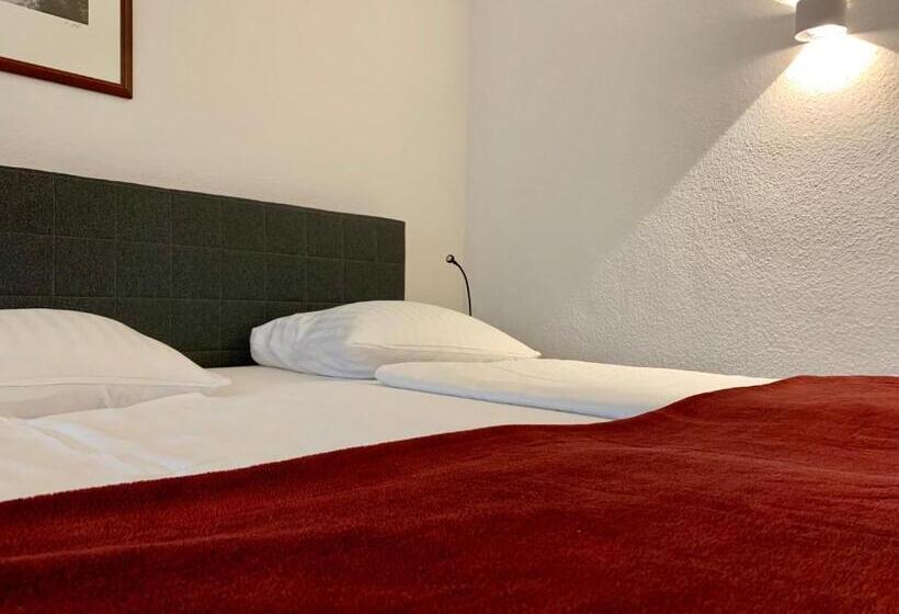 Апартаменты 3 Спальни, Altstadthotel Hayk Am Rhein