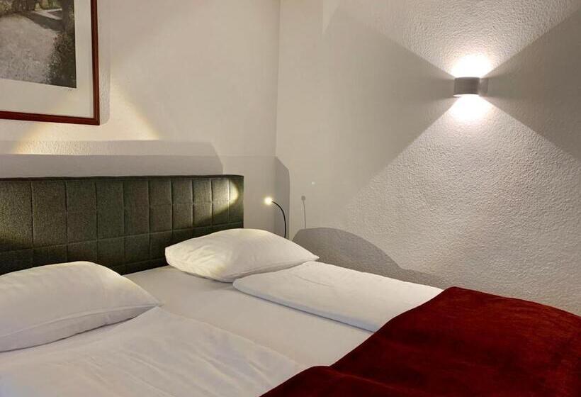 آپارتمان 3 خوابه, Altstadthotel Hayk Am Rhein
