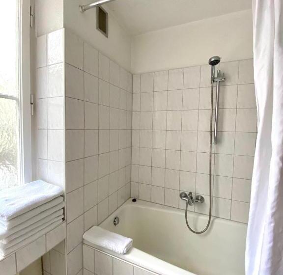 Апартаменты Economy 1 Спальня, Altstadthotel Hayk Am Rhein