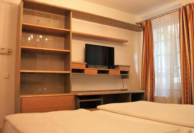 Апартаменты 1 Спальня Нижний Этаж, Altstadthotel Hayk Am Rhein