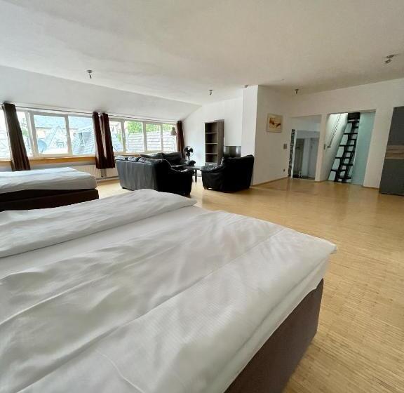 Апартаменты Deluxe 1 Спальня, Altstadthotel Hayk Am Rhein