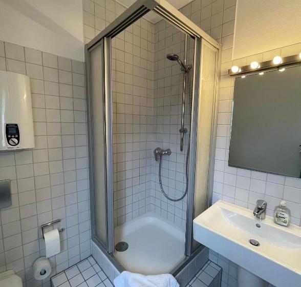 Апартаменты Пентхаус 1 Спальня, Altstadthotel Hayk Am Rhein