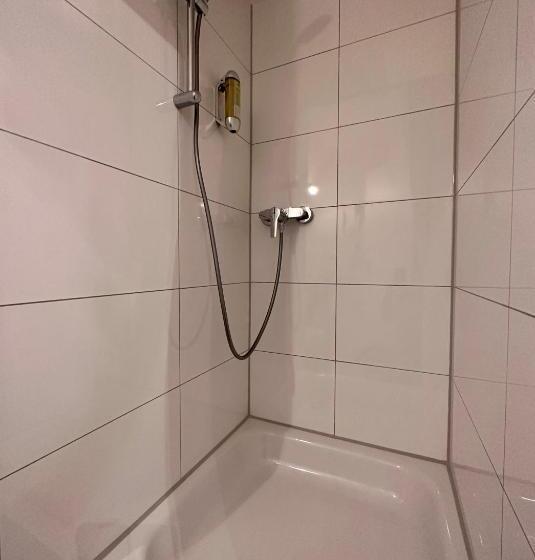 اتاق عادی, Altstadthotel Hayk Am Rhein