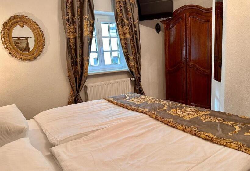 اتاق عادی, Altstadthotel Hayk Am Rhein