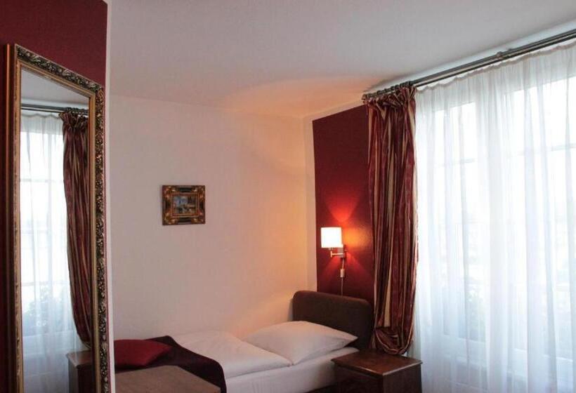 Номер Стандарт Вид на Озеро, Altstadthotel Hayk Am Rhein