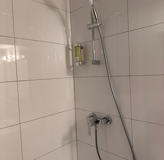 Стандартный Номер Кровать Кинг, Altstadthotel Hayk Am Rhein
