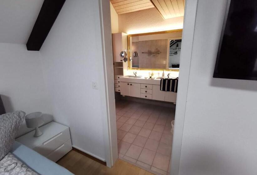 سوییت لوکس, Apart Hotel Near Lucerne
