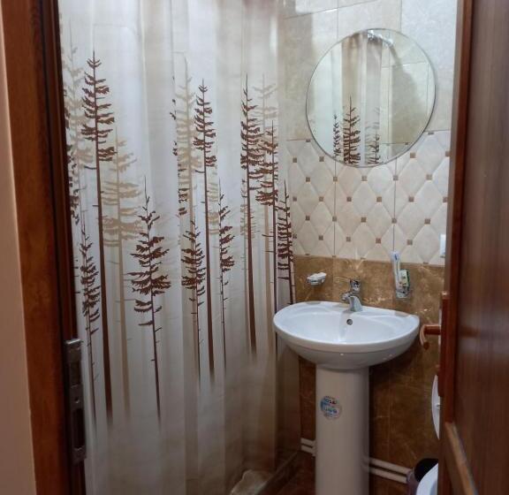 اتاق استاندارد سه نفره, Aga