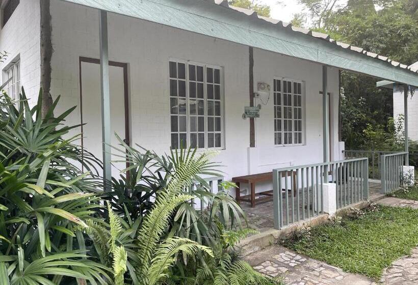 经济房, Mayas Nest