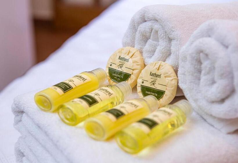 침실 1개 수피리어 아파트, Itu Garden   Spa E Resort Saudavel